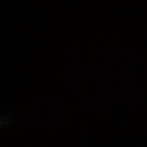 Meet your Posher, Renea